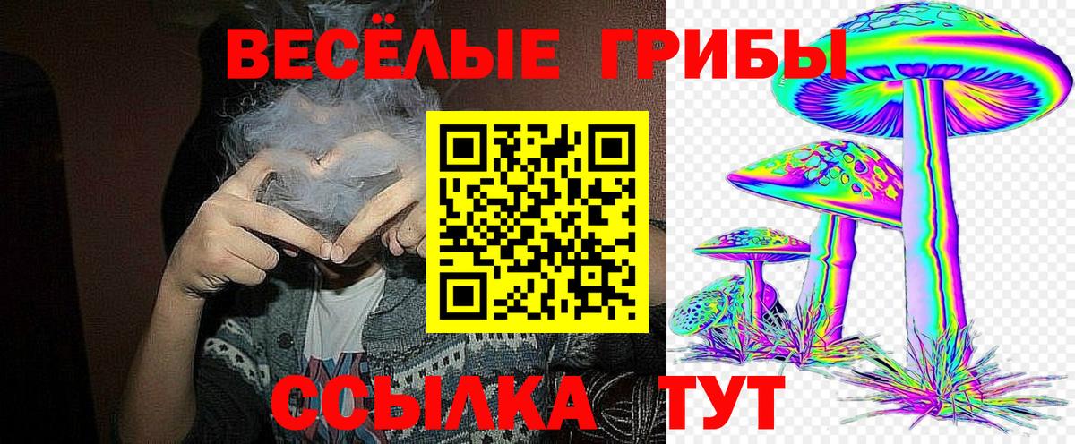 Галлюциногенные грибы Psilocybe  Галлюциногенные грибы Psilocybe  Вход с VPN  купить   Пенза 